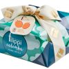 COLOMBA CON ALBICOCCHE - Filippi 1