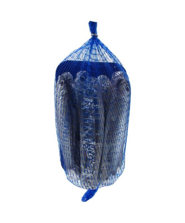 SARDINE CIOCCOLATO - rete