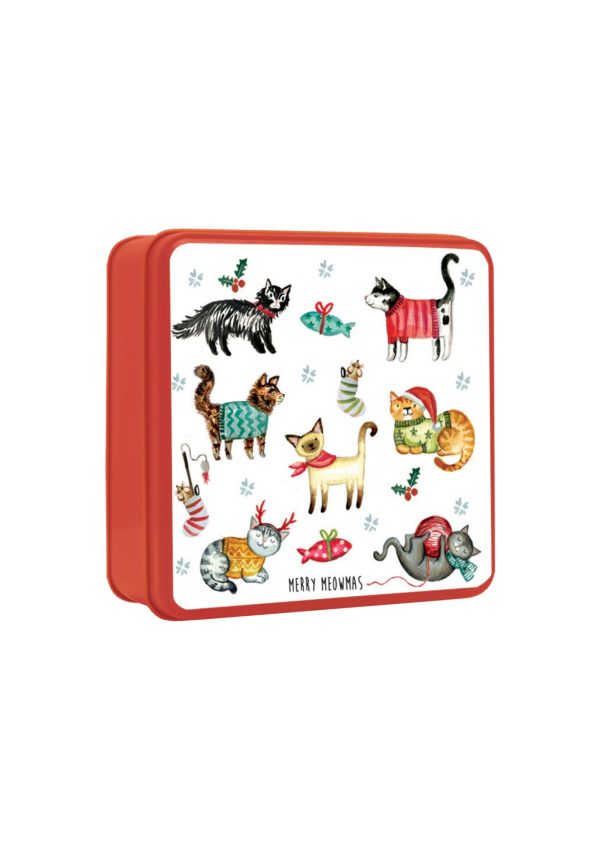 LATTA con BISCOTTI INGLESI MERRY MIAO 3
