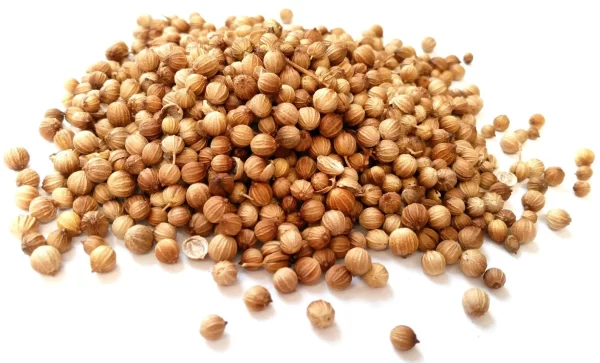 CORIANDOLO in SEMI - Shapur