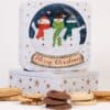 LATTA BISCOTTI INGLESI PALLA di NEVE 1