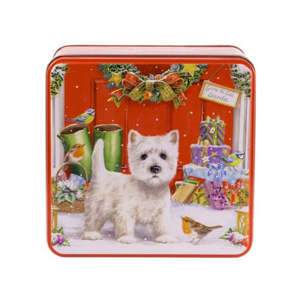LATTA con BISCOTTI SCOTTIE 3
