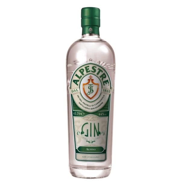 GIN ALPINO - ALPESTRE