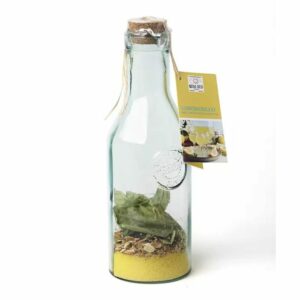 PREPARATO per LIMONCELLO - QUAI SUD