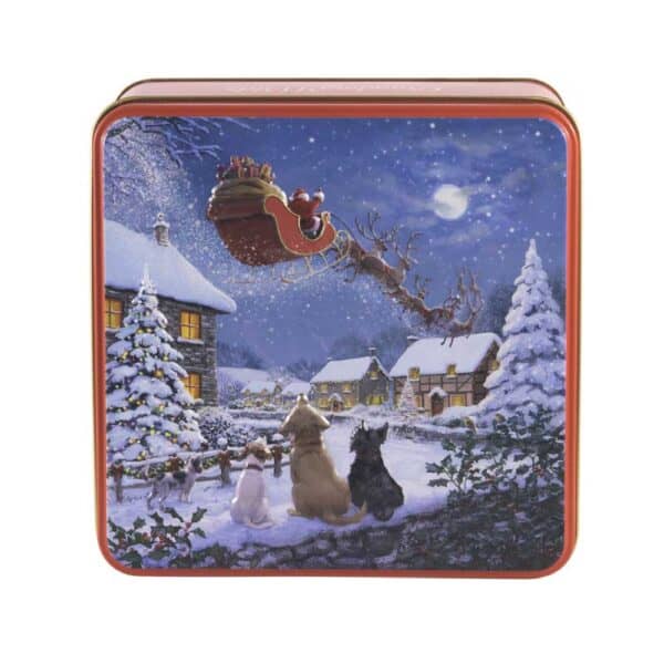 BISCOTTI INGLESI LATTA SLITTA VOLANTE