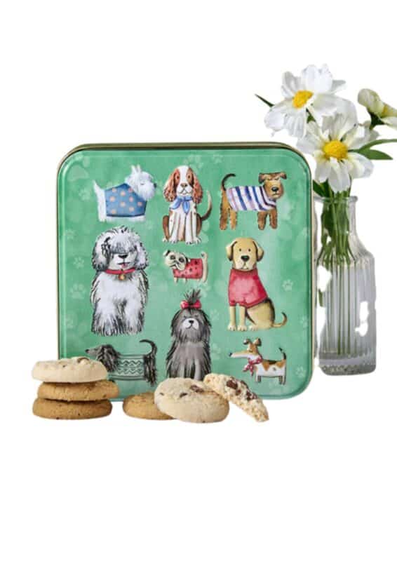 biscotti inglesi latta dogs