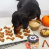 preparato per biscotti dog & mama (copia)