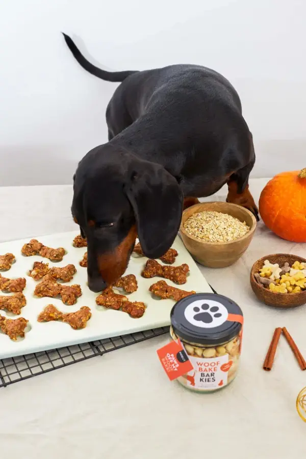 preparato per biscotti dog & mama (copia)