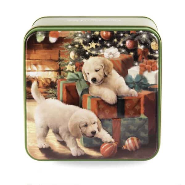 biscotti inglesi gatto con posta (copia)