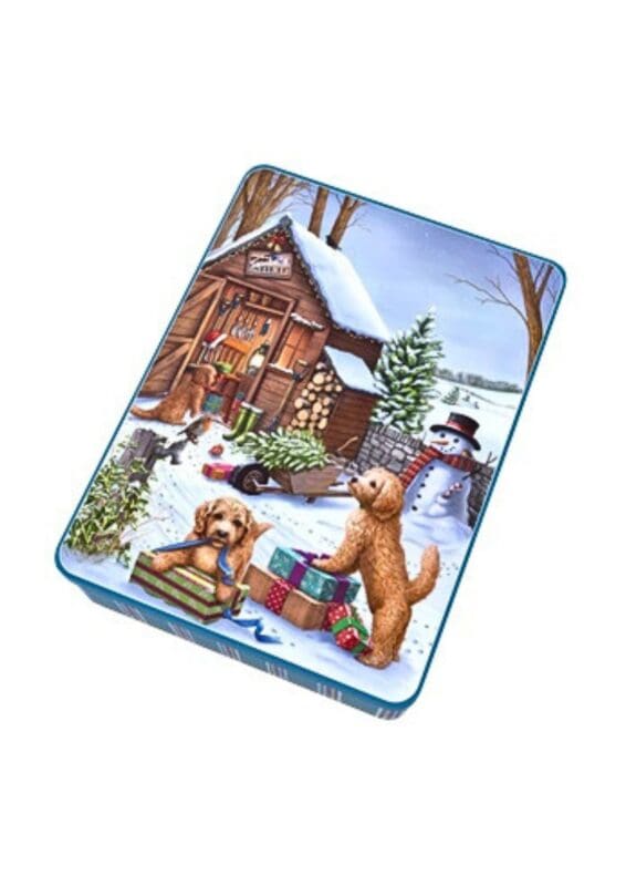 latta biscotti inglesi gattini sulla neve (copia)