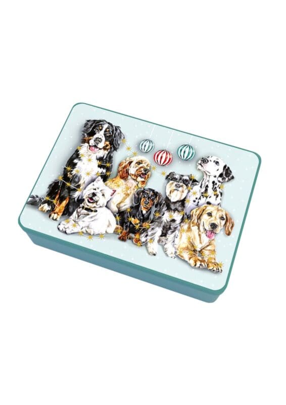 latta biscotti inglesi gattini sulla neve (copia)