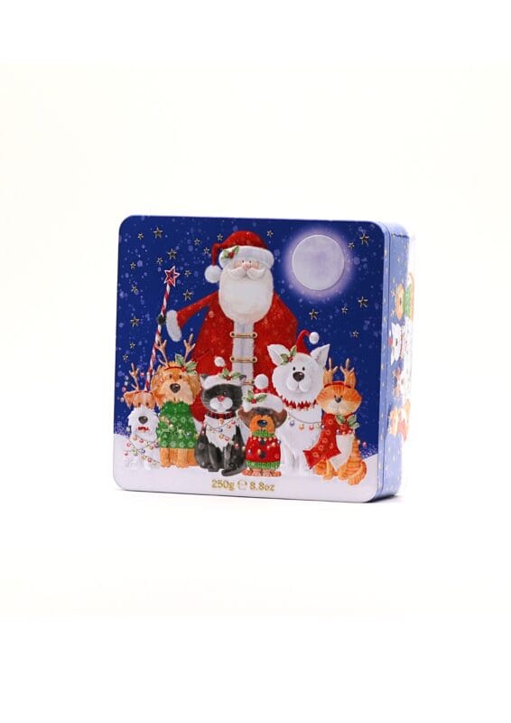 latta biscotti foresta d'inverno