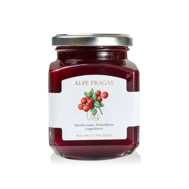 composta di frutta mirtillo nero (copia)